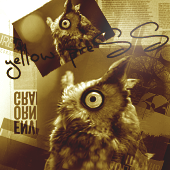 Gossip Owl