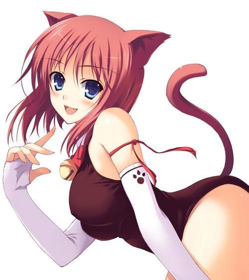 Neko-sama