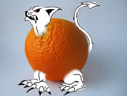 Апельсинка
