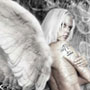 :::Angel_Grey:::