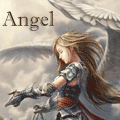 Angel N