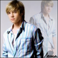 ˸�� �������