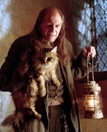 ����� ����