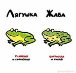 Gaschetka