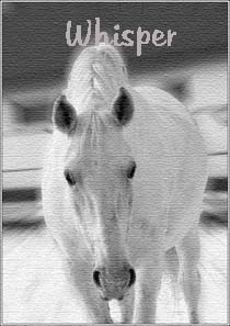 Whisper
