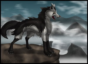 Dark_Wolf