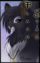 ׸���� ������