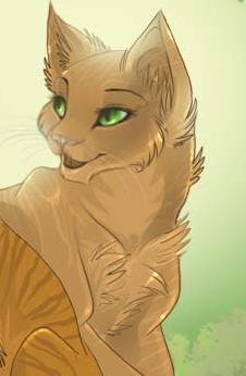 �������� ����