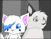 ������ /��������