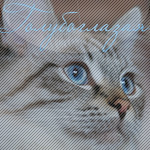 ������������