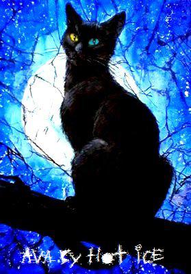 ������� ���