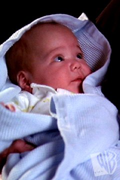 ���� ����� ��������