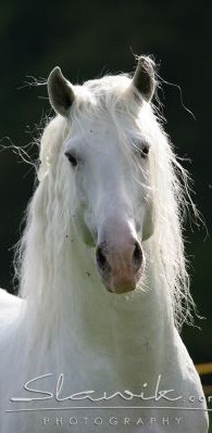 ������-������