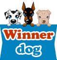 winner-dog