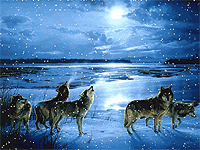 �������_98