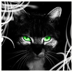 ���������� ������