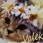 Valek