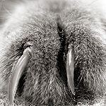 �������� ������