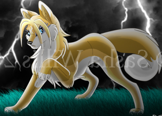 �������� ����