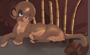 ��������