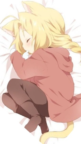 [�-Baka Usagi Edward-�]