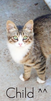 ���������� ������