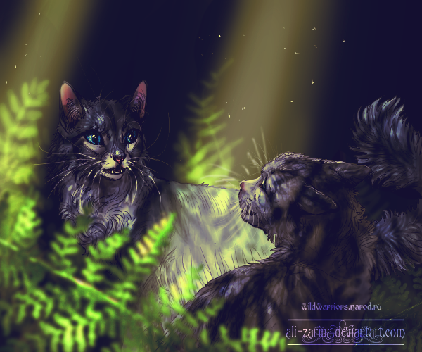 ��������� ������