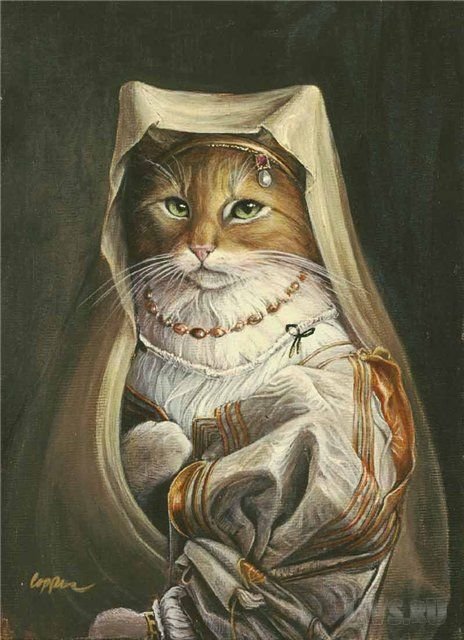 ���������