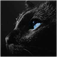 ��������� ������