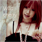 Wild cherry