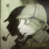 Xilenum