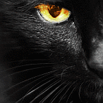 �������� ������