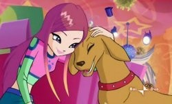 ☆�����☆