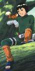 Rock Lee