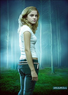 �������� ���������