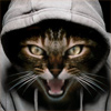LLCoolJ