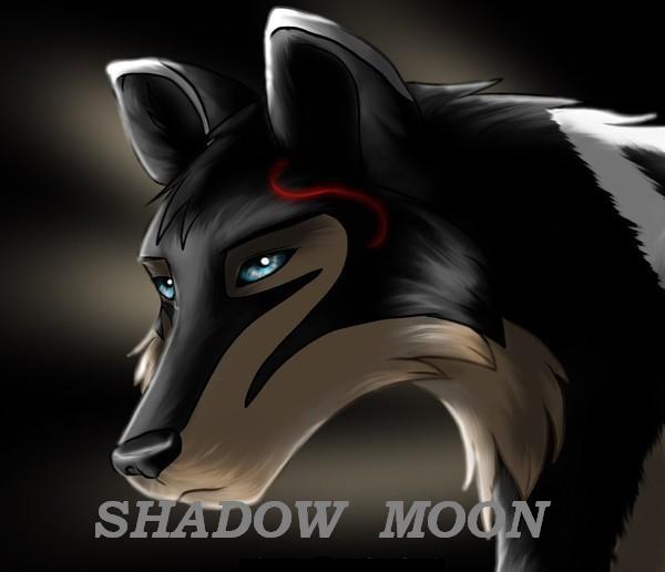 BLACK SHADOW MOON