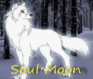 Soul Moon