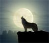 MoonWolf