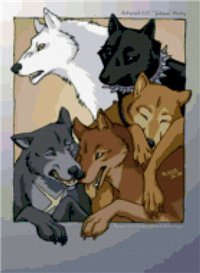 VwolfV