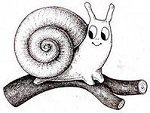 gastropoda