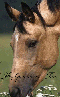 ��� ���������