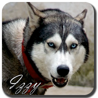 Izzy