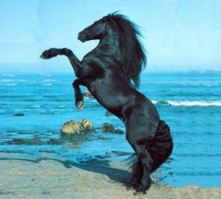 ��������� ���