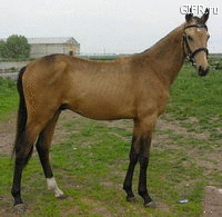 ���-�����