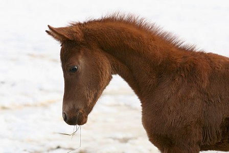 ���� ����