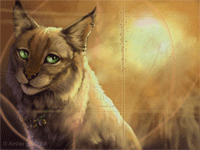 �H������� ������