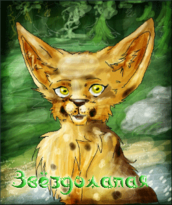 ����o�a�a�