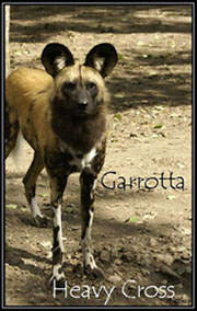 Garrotta