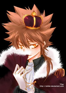 Sawada Tsunayoshi